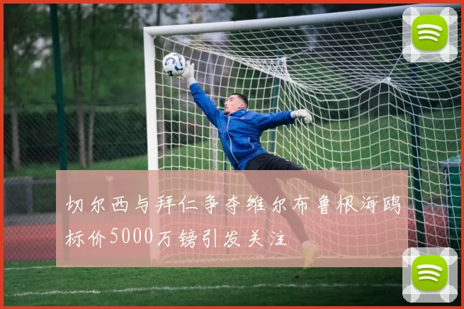 切尔西与拜仁争夺维尔布鲁根海鸥标价5000万镑引发关注