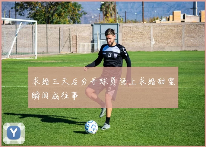 求婚三天后分手球员场上求婚甜蜜瞬间成往事